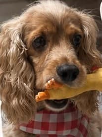 Aika con su pollito de juguete